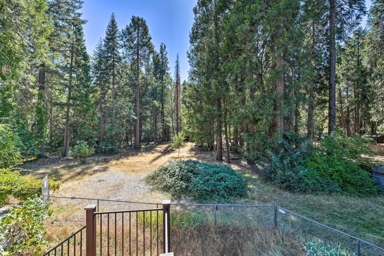 Nevada City Retreat Near Hiking And Yuba River! Esterno foto